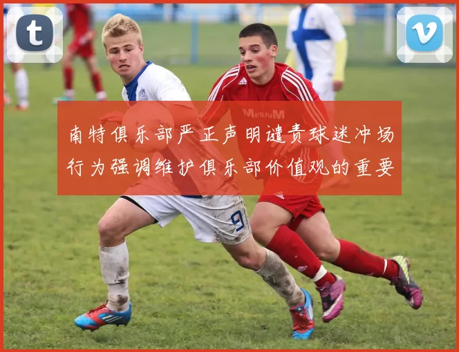 南特俱乐部严正声明谴责球迷冲场行为强调维护俱乐部价值观的重要性
